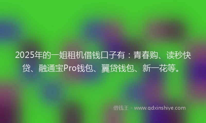 2025年的一姐租机借钱口子有：青春购、读秒快贷、融通宝Pro钱包、翼贷钱包、新一花等。