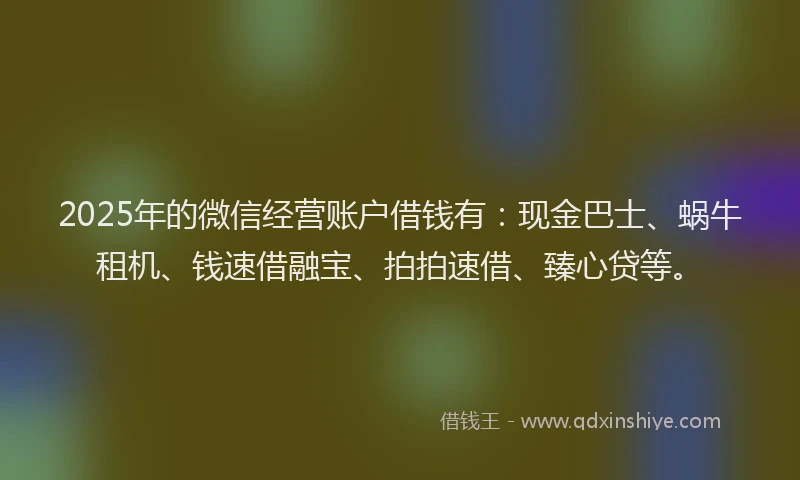 2025年的微信经营账户借钱有：现金巴士、蜗牛租机、钱速借融宝、拍拍速借、臻心贷等。