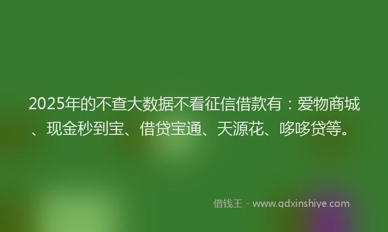 2025年的不查大数据不看征信借款有：爱物商城、现金秒到宝、借贷宝通、天源花、哆哆贷等。