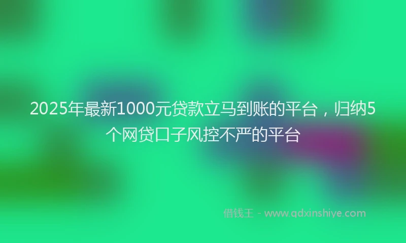 2025年最新1000元贷款立马到账的平台，归纳5个网贷口子风控不严的平台