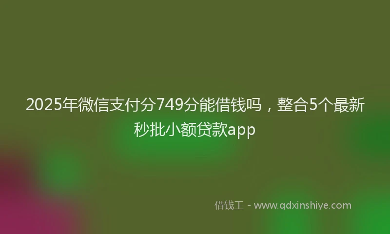 2025年微信支付分749分能借钱吗，整合5个最新秒批小额贷款app