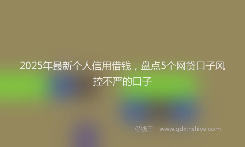 2025年最新个人信用借钱，盘点5个网贷口子风控不严的口子