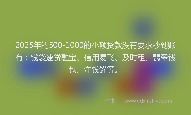 2025年的500-1000的小额贷款没有要求秒到账有：钱袋速贷融宝、信用易飞、及时租、翡翠钱包、洋钱罐等。