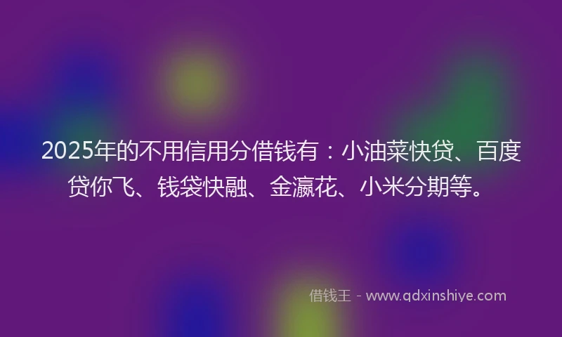 2025年的不用信用分借钱有：小油菜快贷、百度贷你飞、钱袋快融、金瀛花、小米分期等。