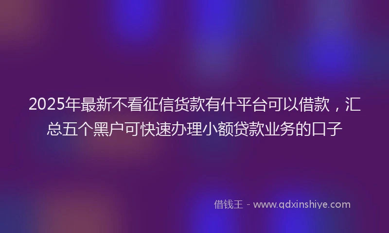 2025年最新不看征信货款有什平台可以借款，汇总五个黑户可快速办理小额贷款业务的口子