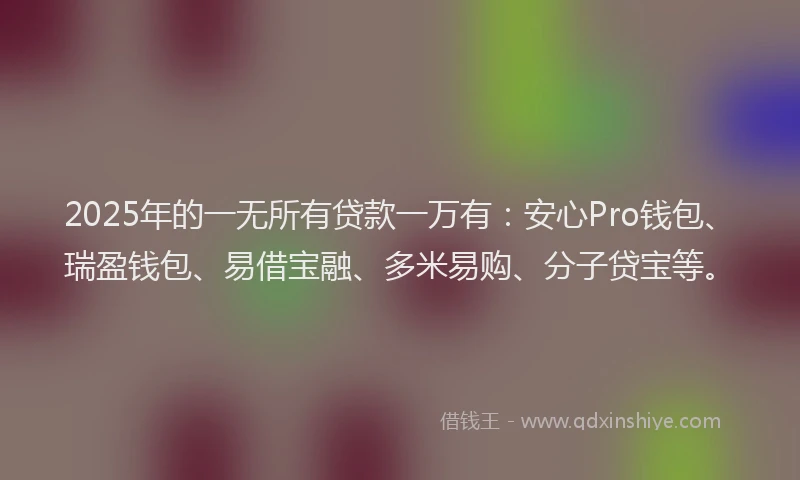 2025年的一无所有贷款一万有：安心Pro钱包、瑞盈钱包、易借宝融、多米易购、分子贷宝等。