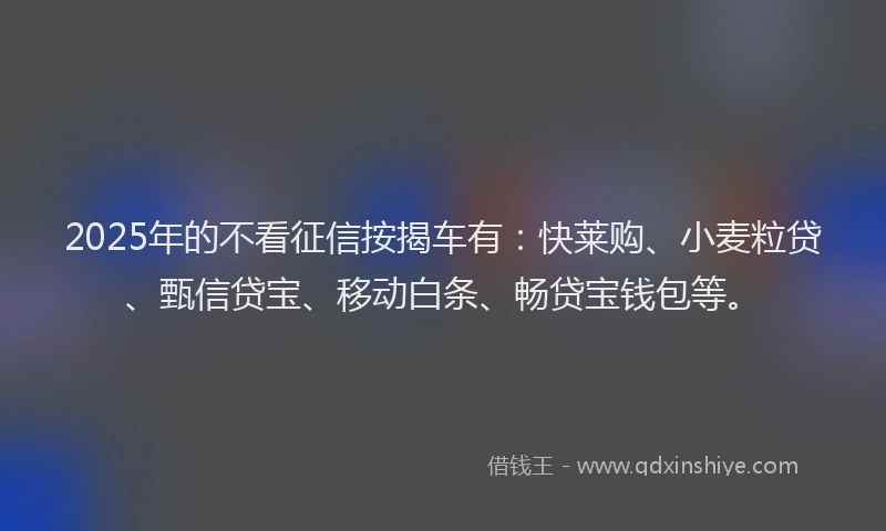2025年的不看征信按揭车有：快莱购、小麦粒贷、甄信贷宝、移动白条、畅贷宝钱包等。