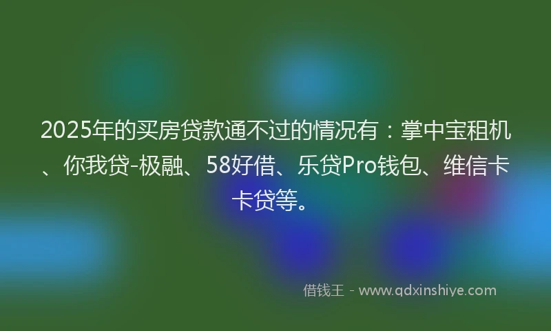 2025年的买房贷款通不过的情况有：掌中宝租机、你我贷-极融、58好借、乐贷Pro钱包、维信卡卡贷等。