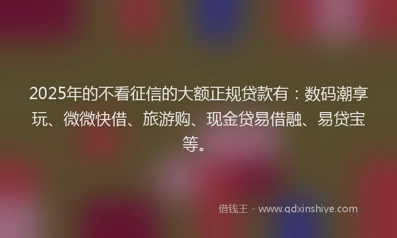 2025年的不看征信的大额正规贷款有：数码潮享玩、微微快借、旅游购、现金贷易借融、易贷宝等。