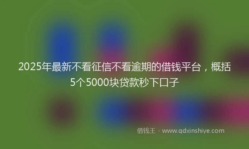2025年最新不看征信不看逾期的借钱平台，概括5个5000块贷款秒下口子