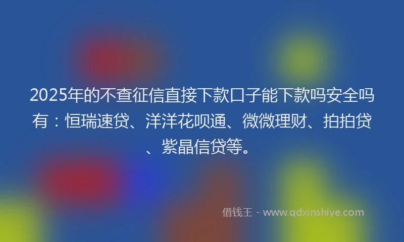 2025年的不查征信直接下款口子能下款吗安全吗有：恒瑞速贷、洋洋花呗通、微微理财、拍拍贷、紫晶信贷等。