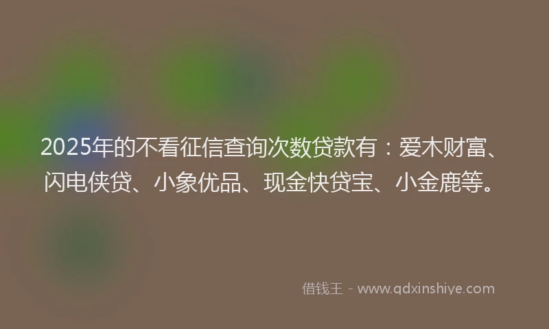 2025年的不看征信查询次数贷款有：爱木财富、闪电侠贷、小象优品、现金快贷宝、小金鹿等。