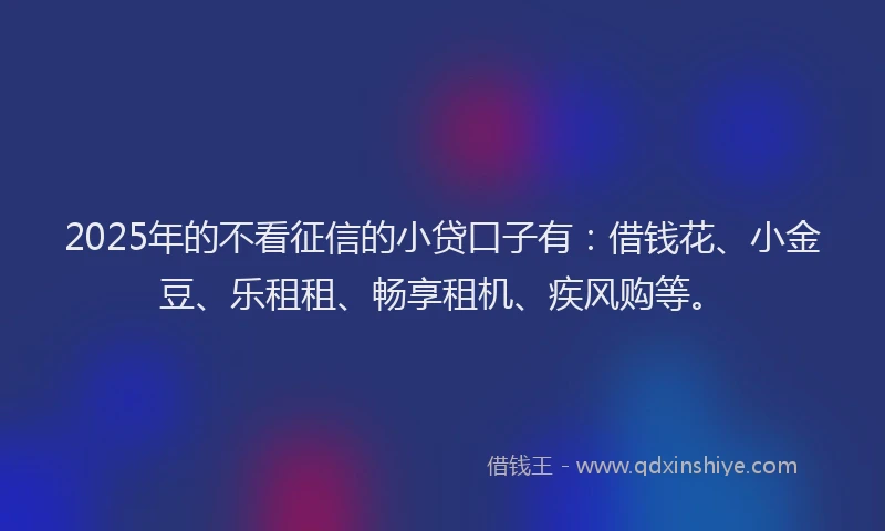 2025年的不看征信的小贷口子有：借钱花、小金豆、乐租租、畅享租机、疾风购等。