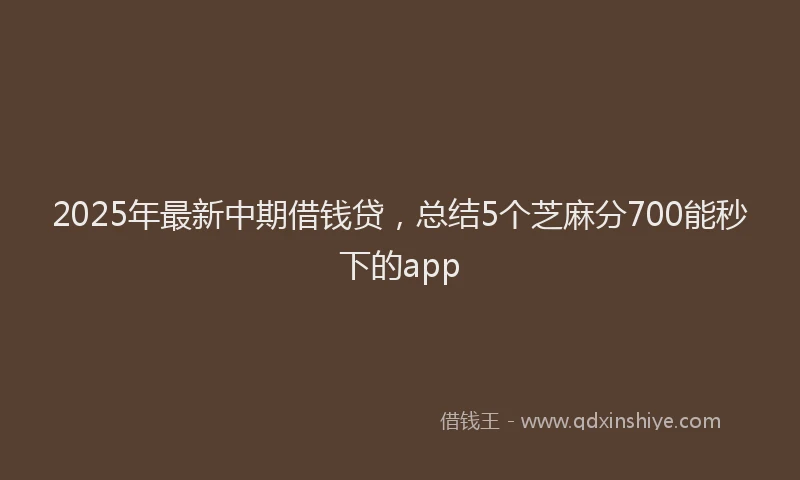 2025年最新中期借钱贷，总结5个芝麻分700能秒下的app