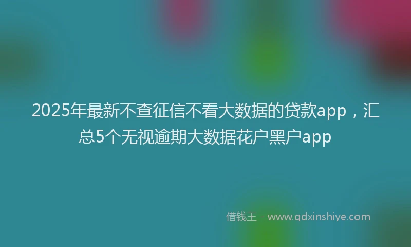 2025年最新不查征信不看大数据的贷款app，汇总5个无视逾期大数据花户黑户app