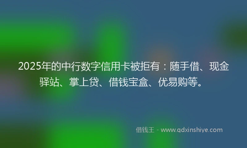 2025年的中行数字信用卡被拒有：随手借、现金驿站、掌上贷、借钱宝盒、优易购等。