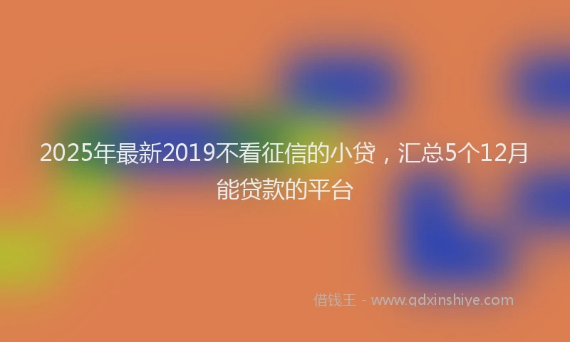 2025年最新2019不看征信的小贷，汇总5个12月能贷款的平台