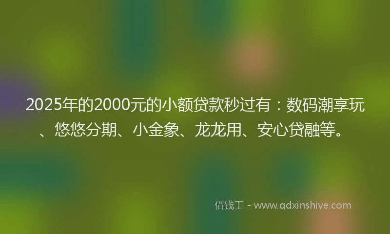 2025年的2000元的小额贷款秒过有：数码潮享玩、悠悠分期、小金象、龙龙用、安心贷融等。