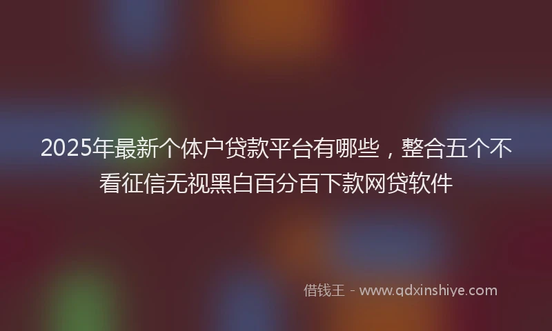 2025年最新个体户贷款平台有哪些，整合五个不看征信无视黑白百分百下款网贷软件