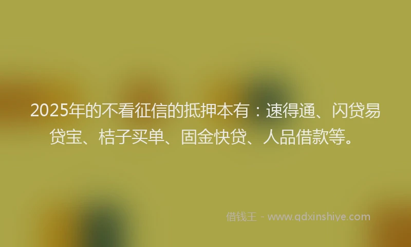 2025年的不看征信的抵押本有：速得通、闪贷易贷宝、桔子买单、固金快贷、人品借款等。