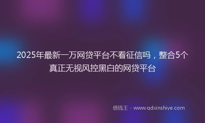 2025年最新一万网贷平台不看征信吗，整合5个真正无视风控黑白的网贷平台