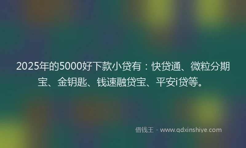 2025年的5000好下款小贷有：快贷通、微粒分期宝、金钥匙、钱速融贷宝、平安i贷等。