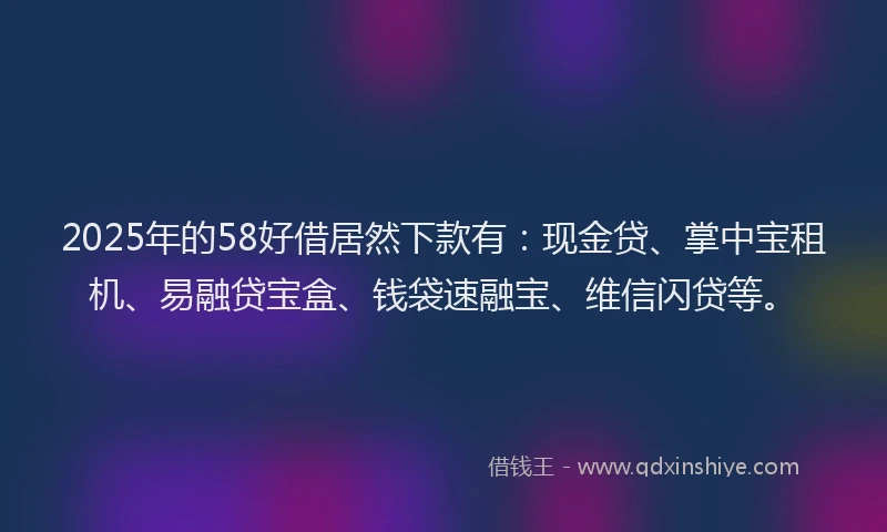 2025年的58好借居然下款有：现金贷、掌中宝租机、易融贷宝盒、钱袋速融宝、维信闪贷等。