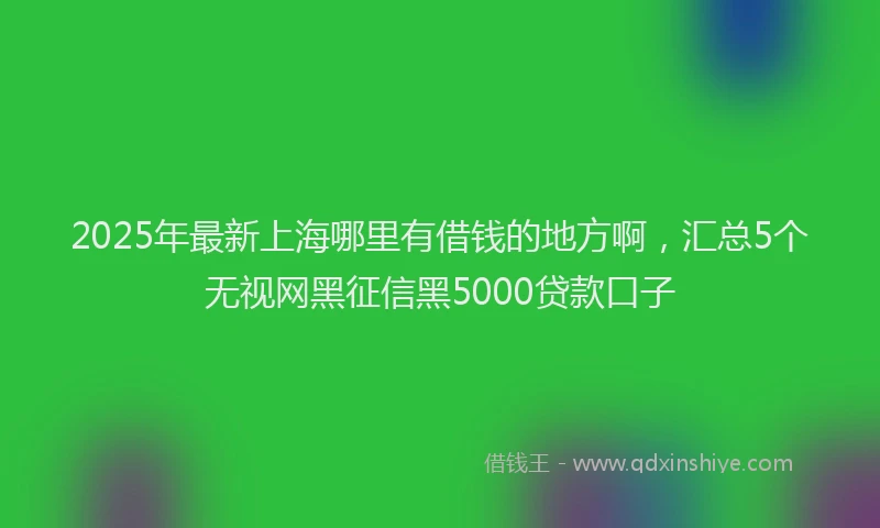 2025年最新上海哪里有借钱的地方啊，汇总5个无视网黑征信黑5000贷款口子