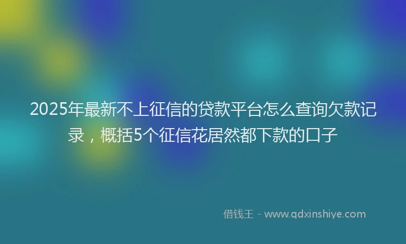 2025年最新不上征信的贷款平台怎么查询欠款记录，概括5个征信花居然都下款的口子