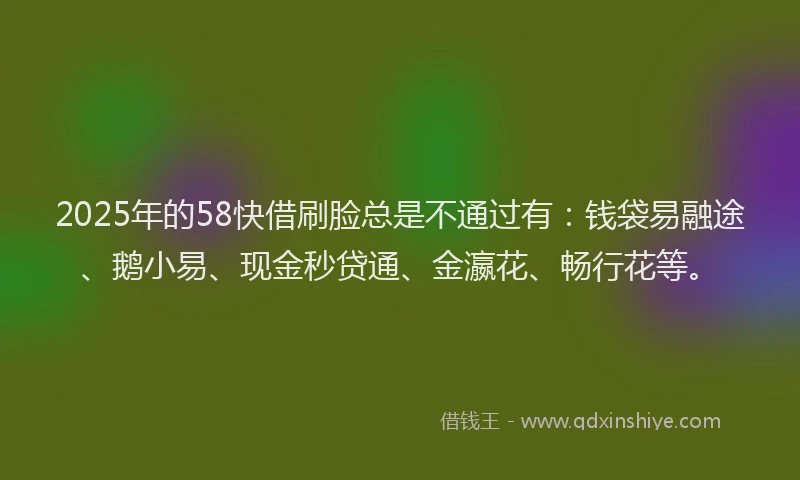 2025年的58快借刷脸总是不通过有：钱袋易融途、鹅小易、现金秒贷通、金瀛花、畅行花等。