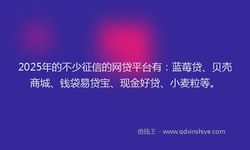 2025年的不少征信的网贷平台有：蓝莓贷、贝壳商城、钱袋易贷宝、现金好贷、小麦粒等。