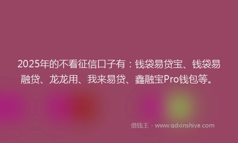 2025年的不看征信口子有：钱袋易贷宝、钱袋易融贷、龙龙用、我来易贷、鑫融宝Pro钱包等。