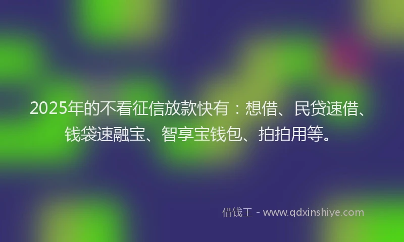 2025年的不看征信放款快有：想借、民贷速借、钱袋速融宝、智享宝钱包、拍拍用等。