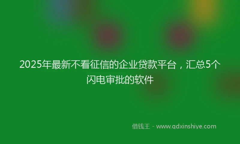 2025年最新不看征信的企业贷款平台，汇总5个闪电审批的软件