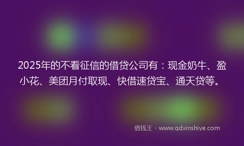 2025年的不看征信的借贷公司有：现金奶牛、盈小花、美团月付取现、快借速贷宝、通天贷等。