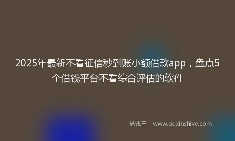 2025年最新不看征信秒到账小额借款app，盘点5个借钱平台不看综合评估的软件