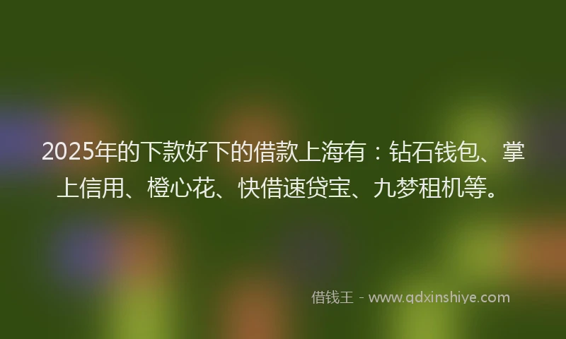 2025年的下款好下的借款上海有：钻石钱包、掌上信用、橙心花、快借速贷宝、九梦租机等。