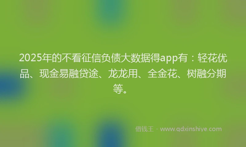 2025年的不看征信负债大数据得app有：轻花优品、现金易融贷途、龙龙用、全金花、树融分期等。