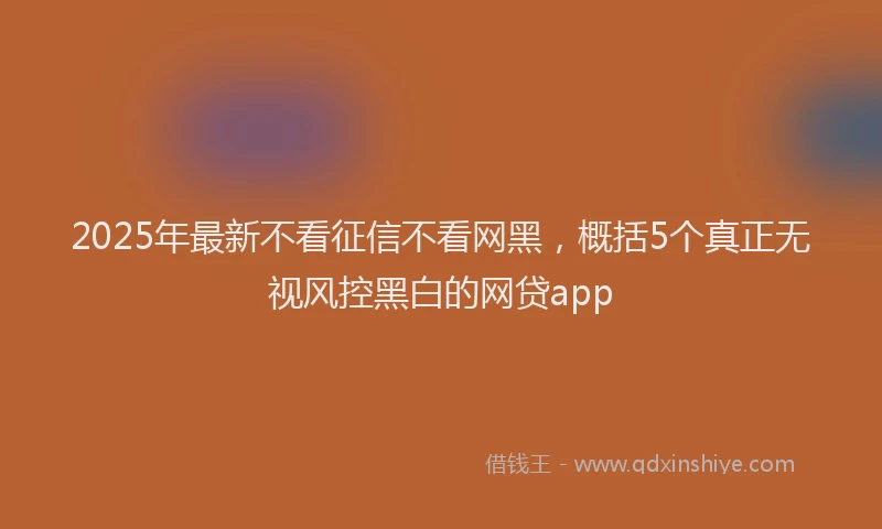 2025年最新不看征信不看网黑，概括5个真正无视风控黑白的网贷app