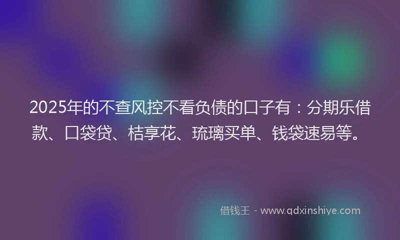 2025年的不查风控不看负债的口子有：分期乐借款、口袋贷、桔享花、琉璃买单、钱袋速易等。