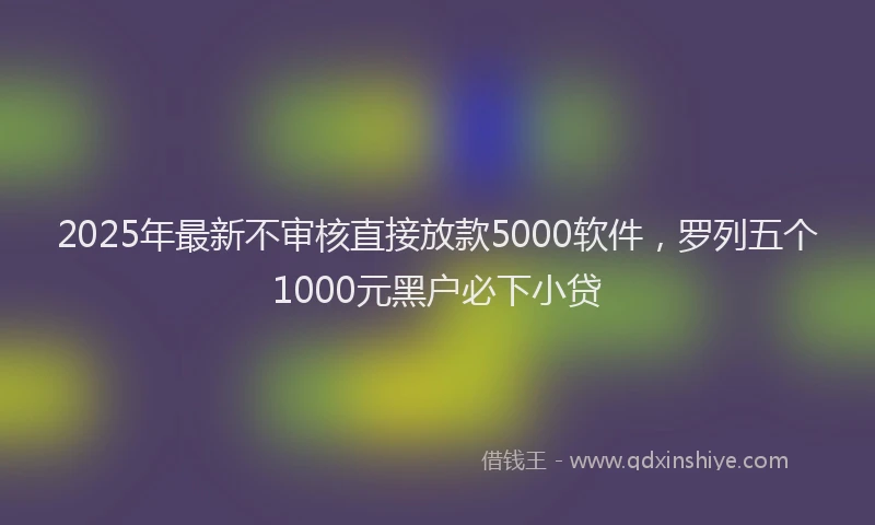 2025年最新不审核直接放款5000软件，罗列五个1000元黑户必下小贷