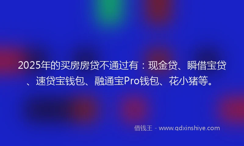2025年的买房房贷不通过有：现金贷、瞬借宝贷、速贷宝钱包、融通宝Pro钱包、花小猪等。