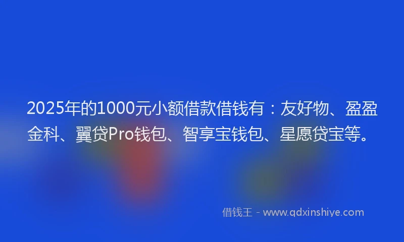 2025年的1000元小额借款借钱有：友好物、盈盈金科、翼贷Pro钱包、智享宝钱包、星愿贷宝等。