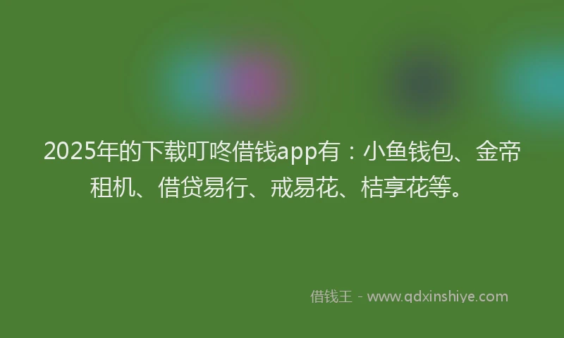 2025年的下载叮咚借钱app有：小鱼钱包、金帝租机、借贷易行、戒易花、桔享花等。