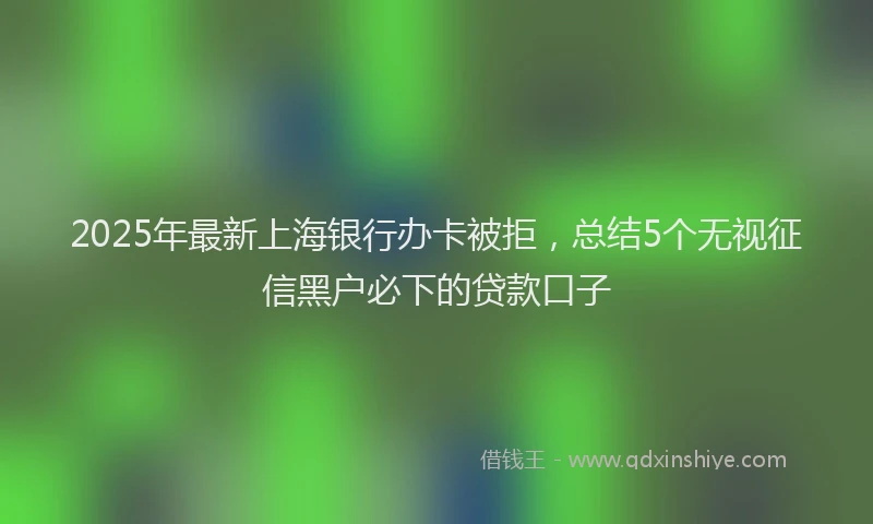 2025年最新上海银行办卡被拒，总结5个无视征信黑户必下的贷款口子