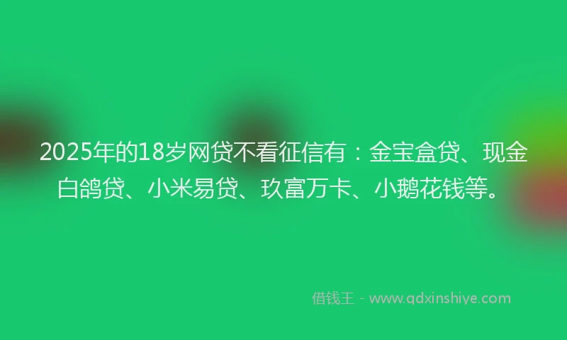 2025年的18岁网贷不看征信有：金宝盒贷、现金白鸽贷、小米易贷、玖富万卡、小鹅花钱等。