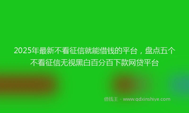 2025年最新不看征信就能借钱的平台，盘点五个不看征信无视黑白百分百下款网贷平台