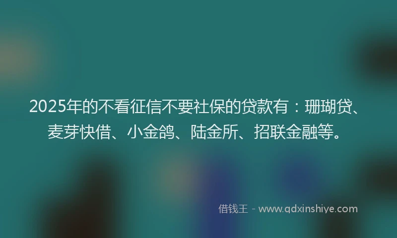 2025年的不看征信不要社保的贷款有：珊瑚贷、麦芽快借、小金鸽、陆金所、招联金融等。