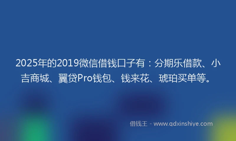 2025年的2019微信借钱口子有：分期乐借款、小吉商城、翼贷Pro钱包、钱来花、琥珀买单等。