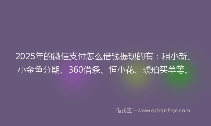 2025年的微信支付怎么借钱提现的有：租小新、小金鱼分期、360借条、恒小花、琥珀买单等。